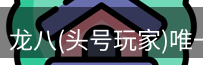 龙八头号玩家官网